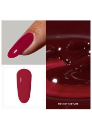 The Penthouse Collection