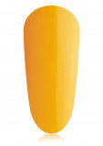 Butternut