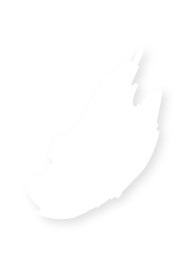 Daisy Studio Gel™.