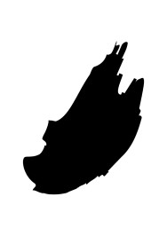 Jet Black Studio Gel™.