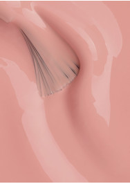 Hard BIAB™ - The Collection