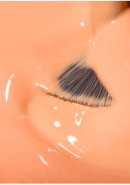 The Energy Collection